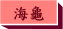 拯救小海龜
